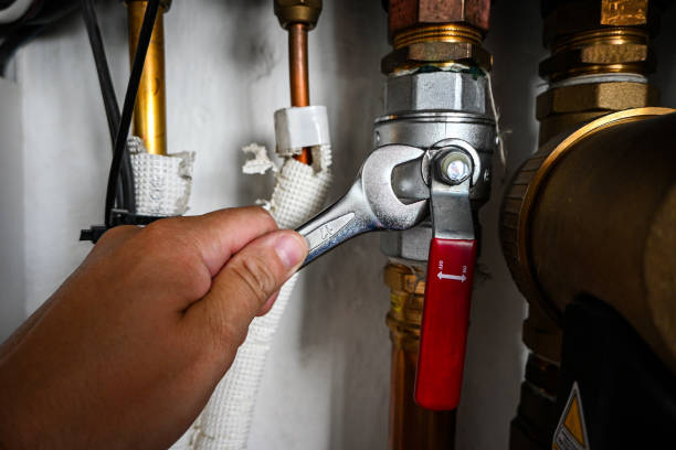 Best Sprinkler Systems  in Walden, NY